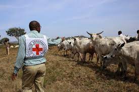 Red Cross vaccinates 200,000 cattles in Nasarawa