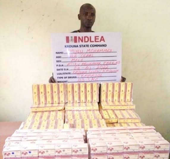 NDLEA arrests suspected tramadol dealer, recover 1,140 capsules