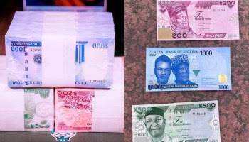 Nigerian Govt. Bans Cash Withdrawals From Public Accounts