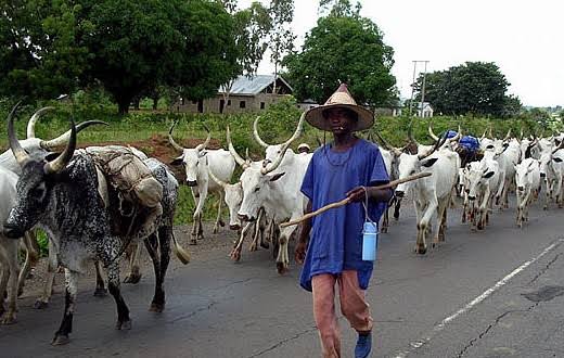 Herdsmen Killings: APC colluding to unleash mayhem on the people