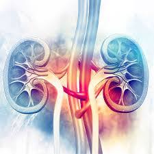 Expert decries high kidney disease burden in Nigeria