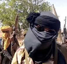 Boko Haram disrupts voting in Borno