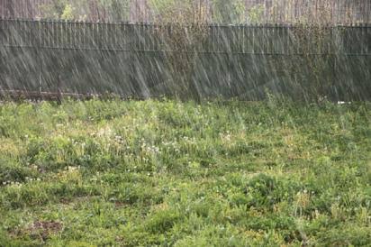 Heavy downpour disrupts election in Edo