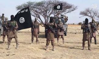 Boko Haram abduct 7 villagers in Borno