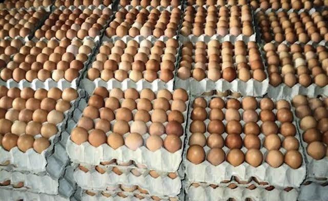 Egg glut: Poultry farmers seek FG intervention on mop up