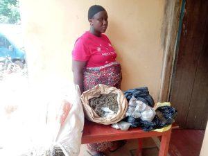 NDLEA arrests pregnant woman, cripple, female undergraduate in Edo, Ogun