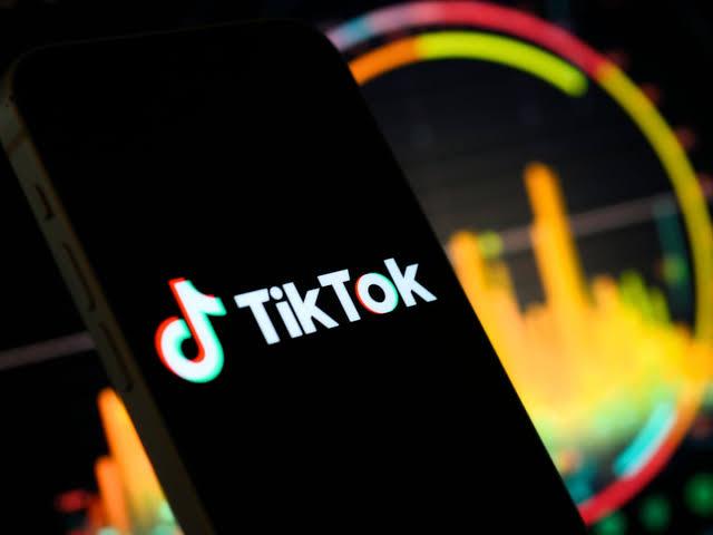 Austria to ban TikTok on government-issued devices