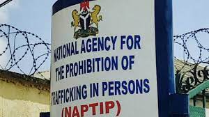 NAPTIP Sacks Five, Demotes Three Over Bribes