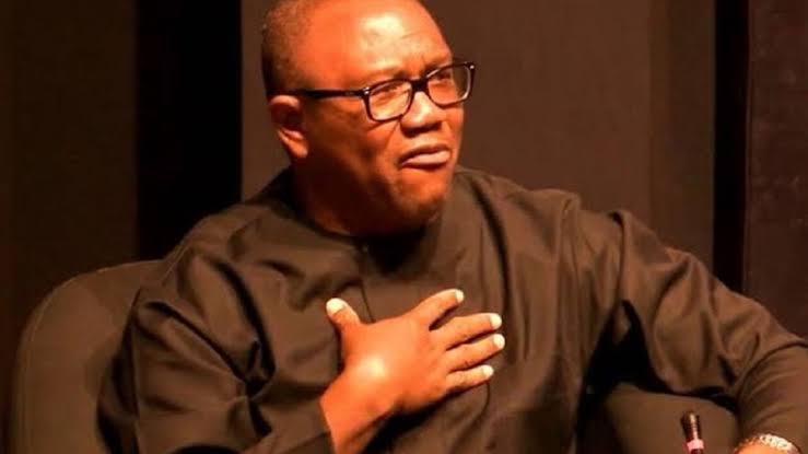 Fuel subsidy: Peter Obi reveals his worries, takes position