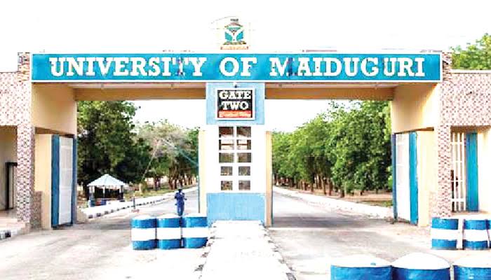 Students lament as Yola Disco throws UNIMAID into darkness