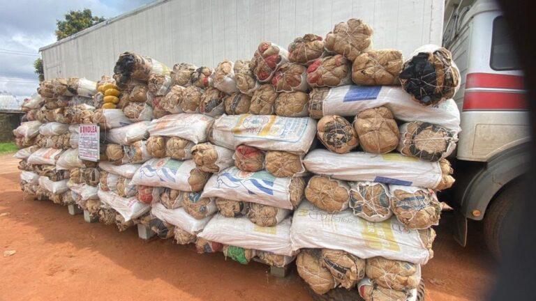 NDLEA seizes 4.8 tonnes of skunk in 5 states