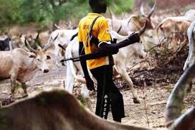 Suspected herders kill 3 cousins of Benue Police spokesperson