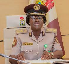 NIS to open more passport service points in UK, USA, others - CG