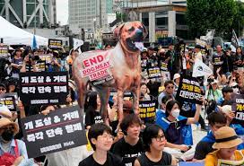 South Korea to stop consumption of dog meat